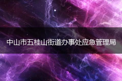 中山市五桂山街道办事处应急管理局
