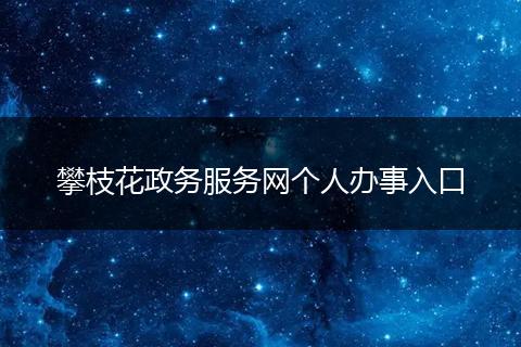 攀枝花政务服务网个人办事入口