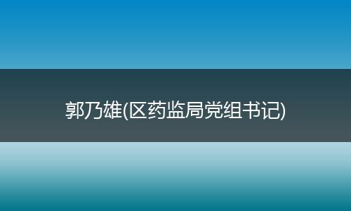 郭乃雄(区药监局党组书记)