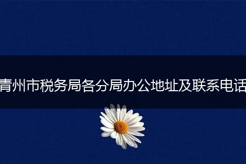 青州市税务局各分局办公地址及联系电话