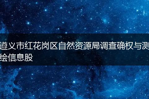 遵义市红花岗区自然资源局调查确权与测绘信息股