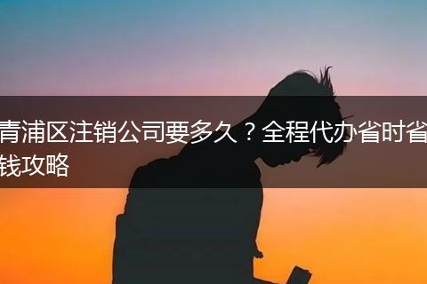 青浦区注销公司要多久？全程代办省时省钱攻略
