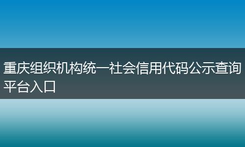 重庆组织机构统一社会信用代码公示查询平台入口