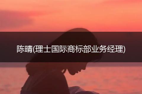 陈晴(理士国际商标部业务经理)