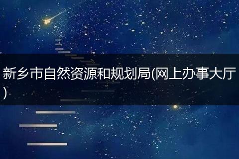 新乡市自然资源和规划局(网上办事大厅)