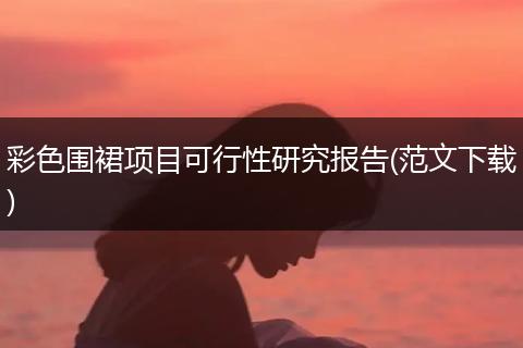 彩色围裙项目可行性研究报告(范文下载)