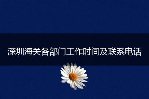 深圳海关各部门工作时间及联系电话