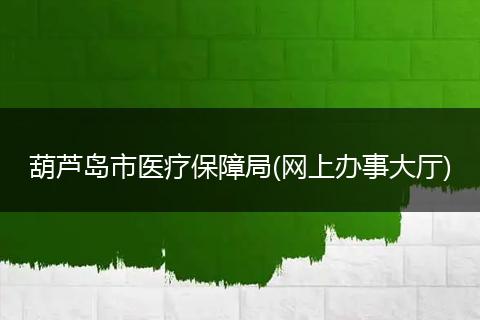 葫芦岛市医疗保障局(网上办事大厅)