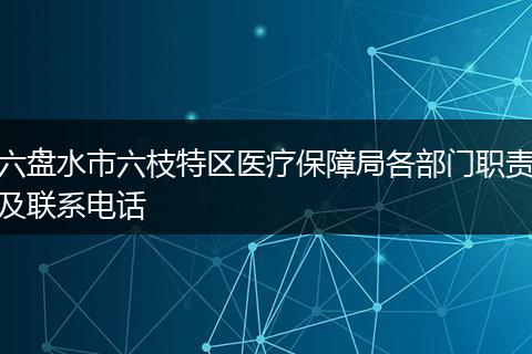 六盘水市六枝特区医疗保障局各部门职责及联系电话
