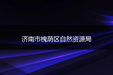 济南市槐荫区自然资源局