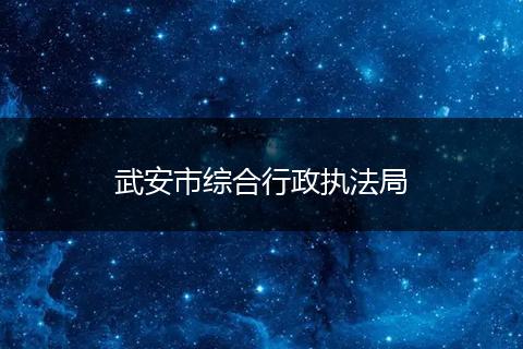 武安市综合行政执法局