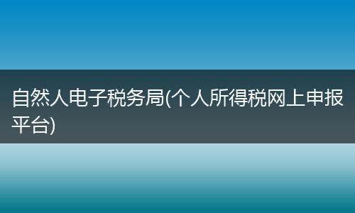 自然人电子税务局(个人所得税网上申报平台)