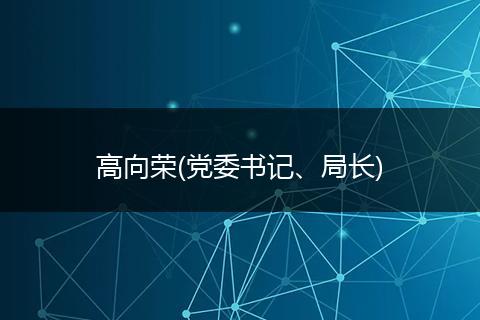 高向荣(党委书记、局长)