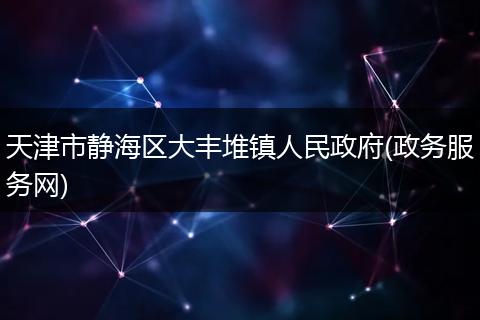 天津市静海区大丰堆镇人民政府(政务服务网)