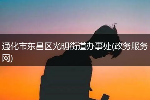 通化市东昌区光明街道办事处(政务服务网)