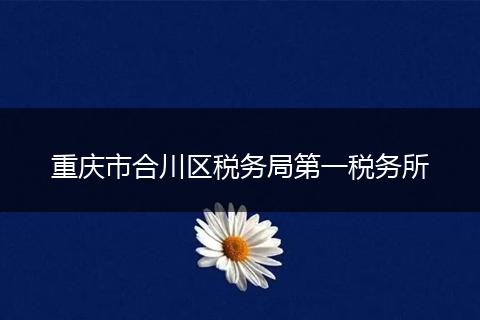 重庆市合川区税务局第一税务所