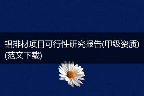 铝排材项目可行性研究报告(甲级资质)(范文下载)