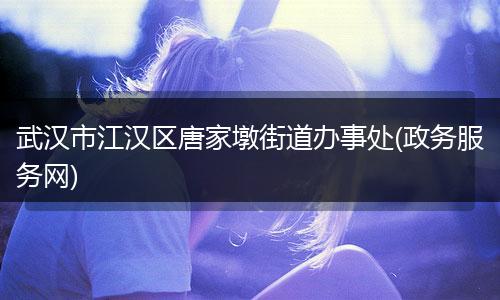 武汉市江汉区唐家墩街道办事处(政务服务网)