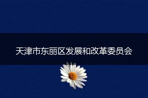 天津市东丽区发展和改革委员会