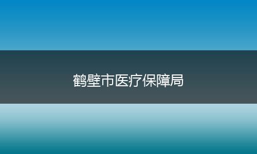 鹤壁市医疗保障局