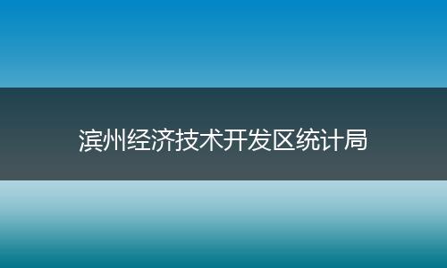 滨州经济技术开发区统计局