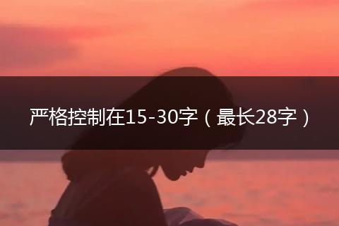 严格控制在15-30字(最长28字)