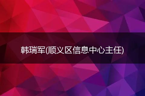 韩瑞军(顺义区信息中心主任)