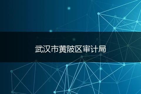 武汉市黄陂区审计局