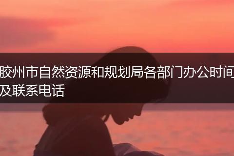 胶州市自然资源和规划局各部门办公时间及联系电话