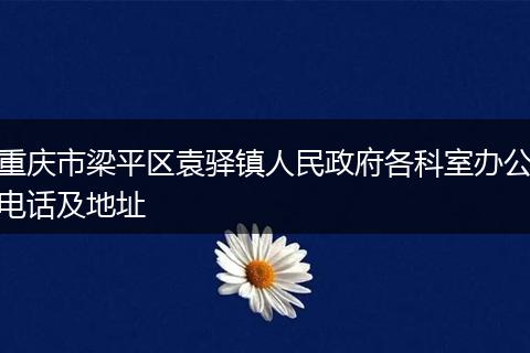 重庆市梁平区袁驿镇人民政府各科室办公电话及地址