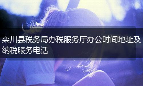 栾川县税务局办税服务厅办公时间地址及纳税服务电话