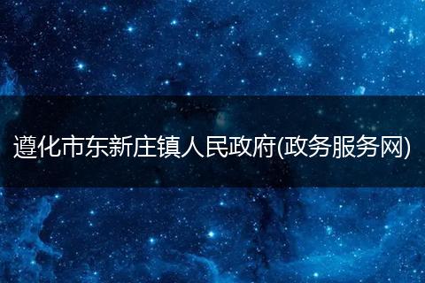 遵化市东新庄镇人民政府(政务服务网)