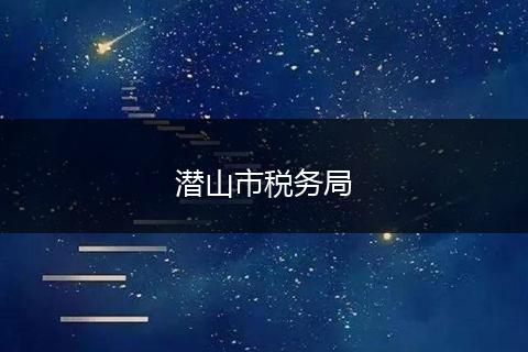 潜山市税务局