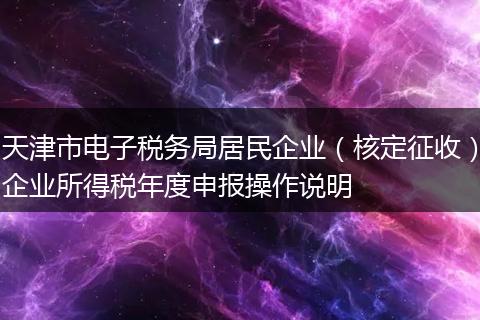 天津市电子税务局居民企业（核定征收）企业所得税年度申报操作说明