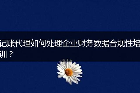记账代理如何处理企业财务数据合规性培训?