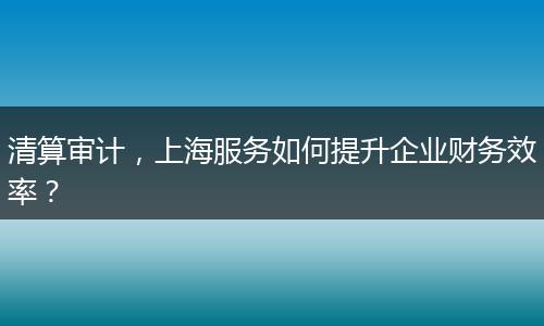清算审计,上海服务如何提升企业财务效率?
