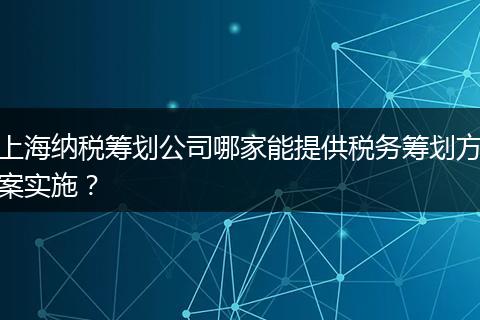 上海纳税筹划公司哪家能提供税务筹划方案实施？
