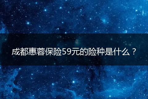 成都惠蓉保险59元的险种是什么？