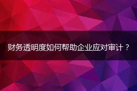 财务透明度如何帮助企业应对审计?