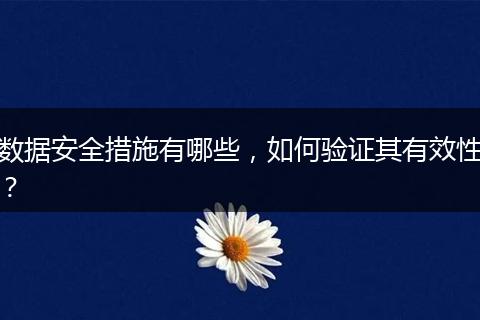 数据安全措施有哪些,如何验证其有效性?