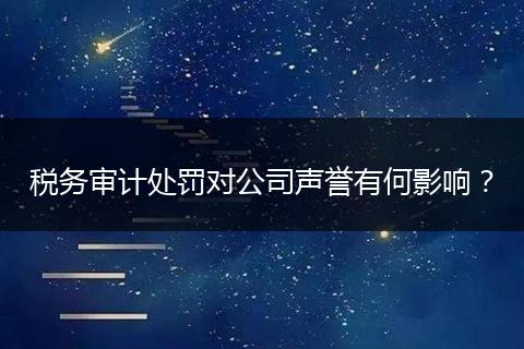 税务审计处罚对公司声誉有何影响？