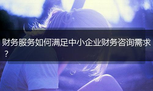 财务服务如何满足中小企业财务咨询需求？