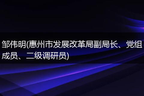 邹伟明(惠州市发展改革局副局长、党组成员、二级调研员)
