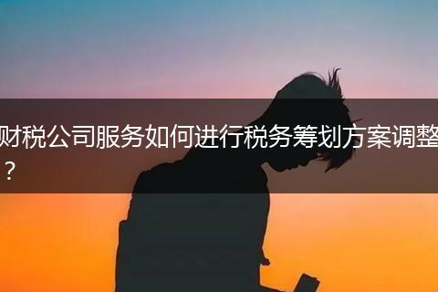 财税公司服务如何进行税务筹划方案调整？