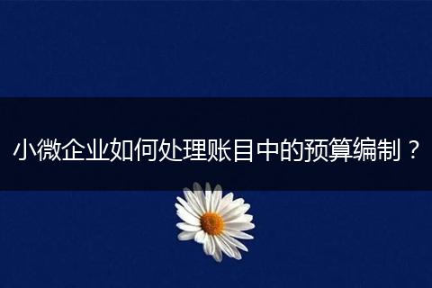 小微企业如何处理账目中的预算编制？