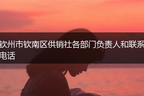 钦州市钦南区供销社各部门负责人和联系电话