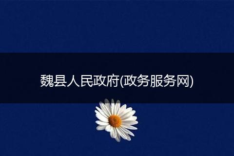 魏县人民政府(政务服务网)