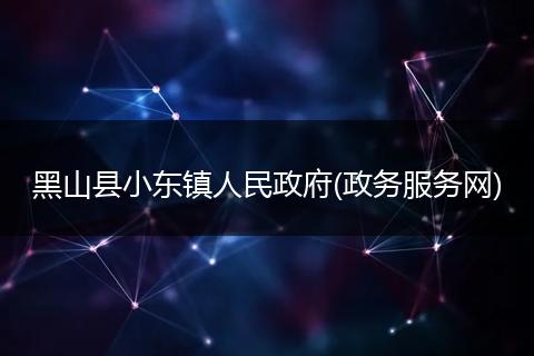 黑山县小东镇人民政府(政务服务网)
