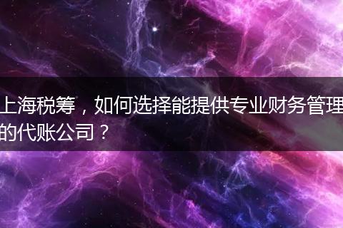 上海税筹,如何选择能提供专业财务管理的代账公司?