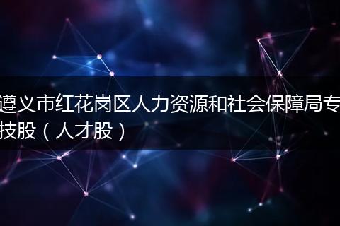 遵义市红花岗区人力资源和社会保障局专技股(人才股)